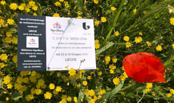 cartolina corto weekend 2025